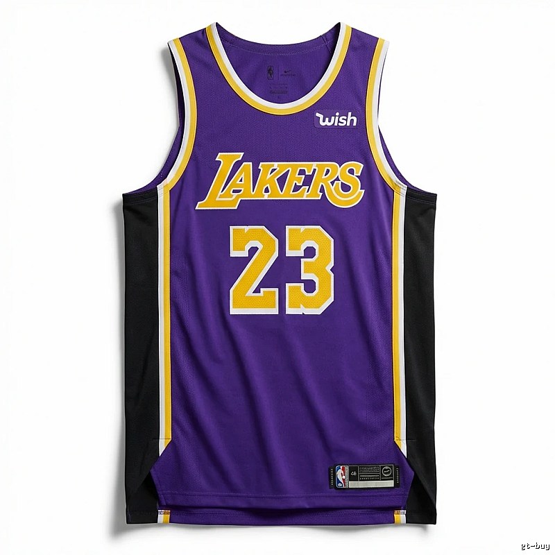 LBJ Lakers retro purple jersey