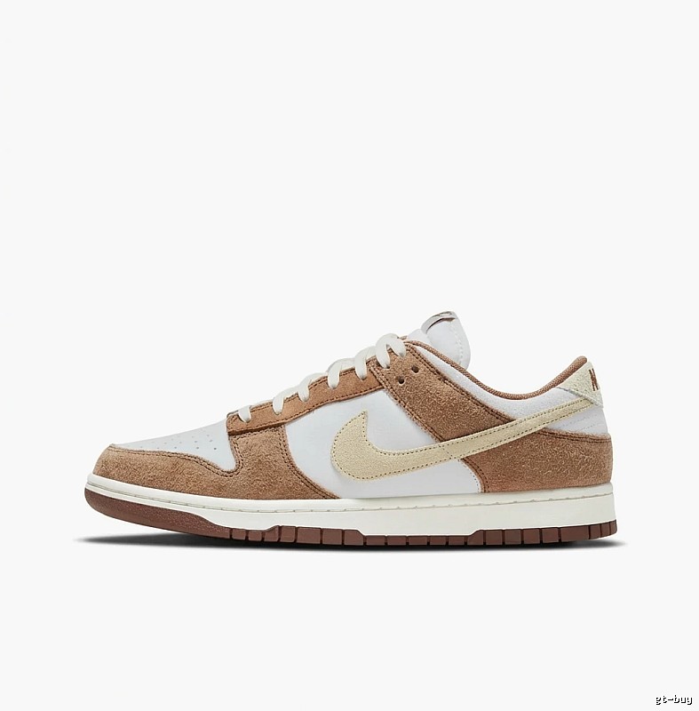 Nike Dunk Retro Brown and White Shoes